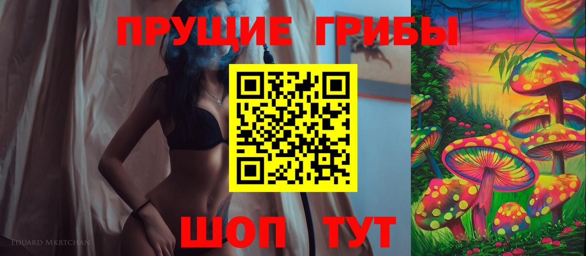 Новочебоксарск  Галлюциногенные грибы Psilocybine cubensis  Вход с VPN 